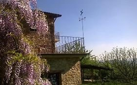 B&B La Civetta
